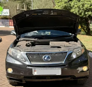 Lexus RX 2011 Blue
