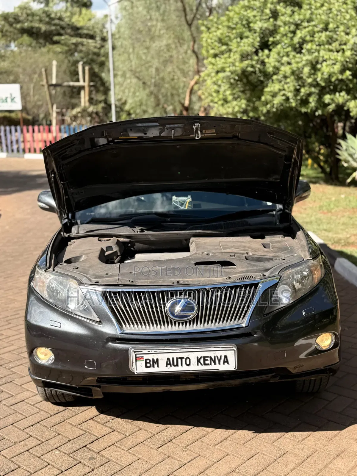 Lexus RX 2011 Blue