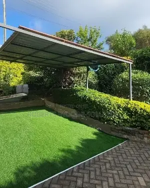 Grass Carpet for Your Backyard