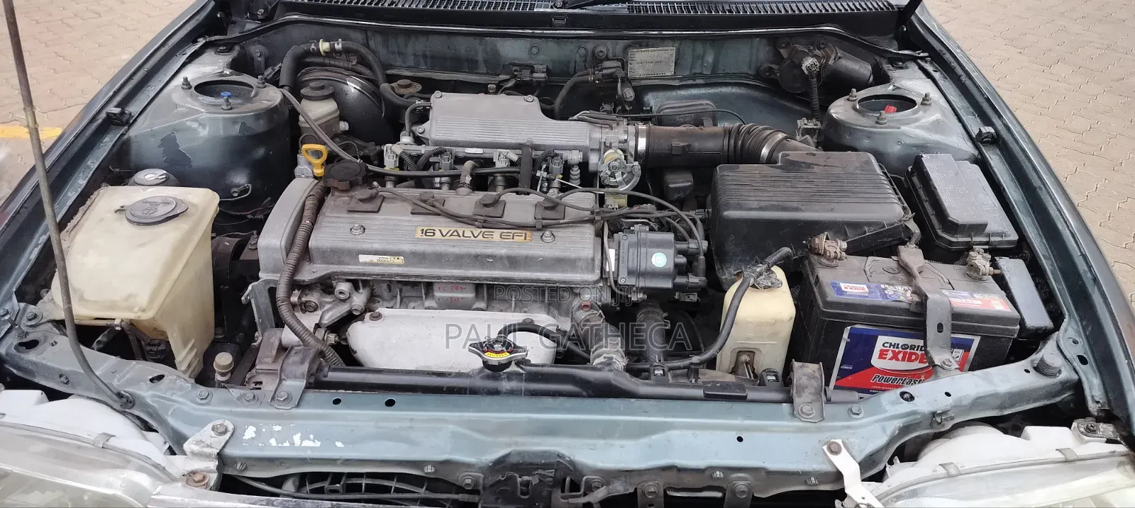 Toyota Corolla 1995 Green