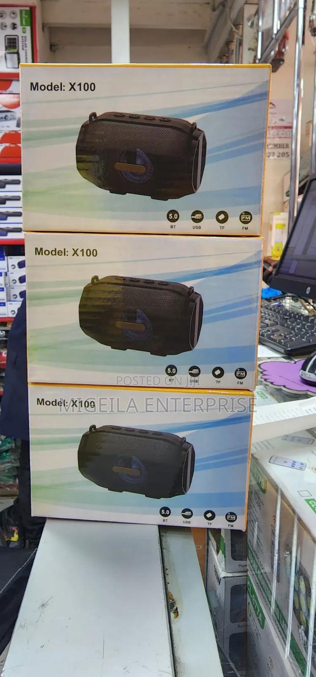 X100 Portable Speaker BT