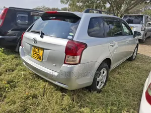 Toyota Corolla Fielder 2013 Silver