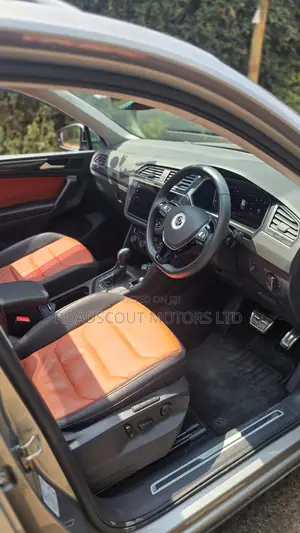 Volkswagen Tiguan 2019 Brown
