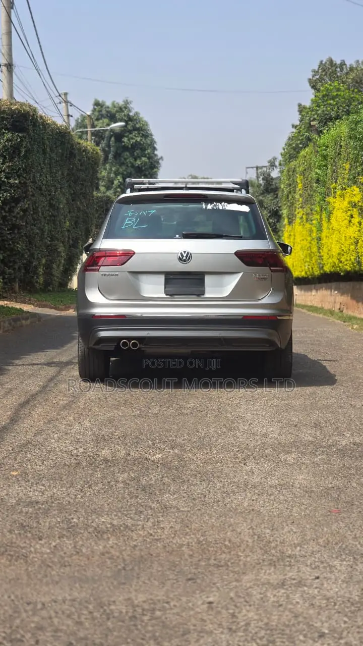 Volkswagen Tiguan 2019 Brown