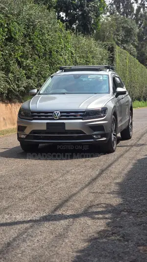 Volkswagen Tiguan 2019 Brown