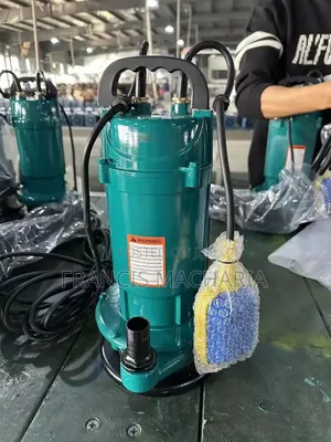 Sabmersible Electric Water Pump