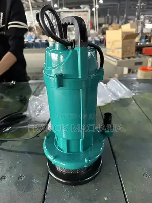 Sabmersible Electric Water Pump