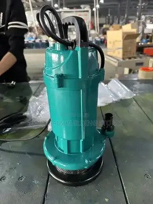 Sabmersible Electric Water Pump