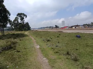 50/100 (4plots)
