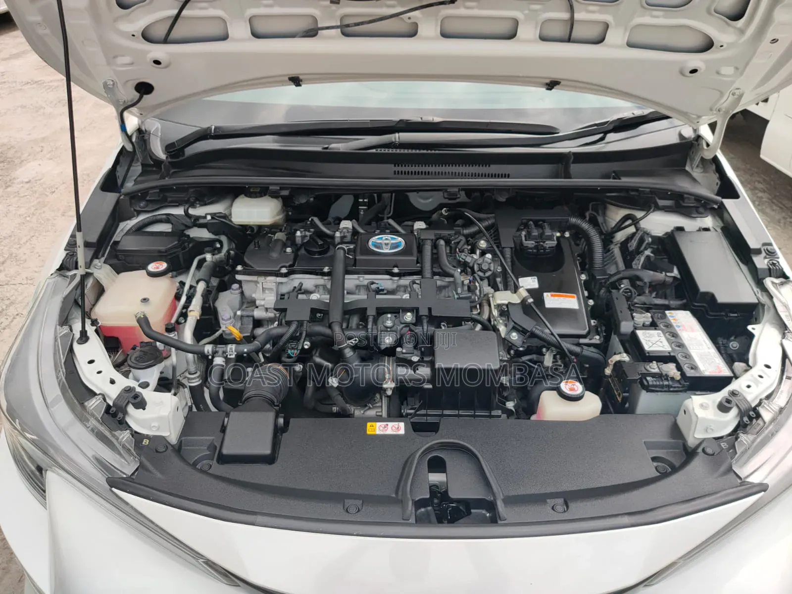 Toyota Corolla 2020 White