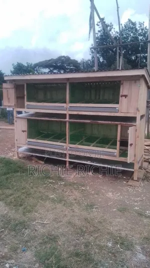 Chicken House
