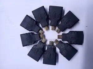 Hdmi to Mini Hdmi Adapter