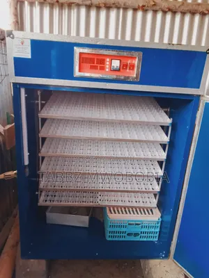 Automatic Incubator