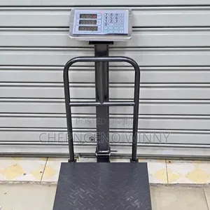 300kg Platform Scale