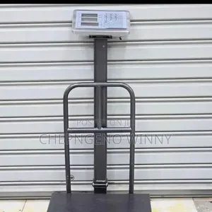 300kg Platform Scale