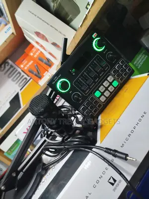 V9 Sound Card With BM800 Studio Mic for Podcast Music
