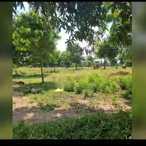 Kanamai Title Deep Plot for Sale (60 by 50)