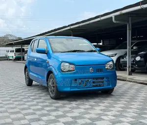Suzuki Alto 2019 Blue