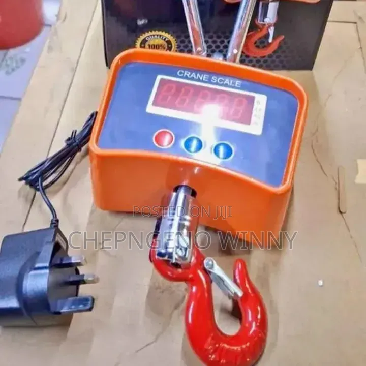 Digital Crane Scale 500kg
