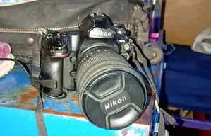 Nikon Camera With Sigma Lense