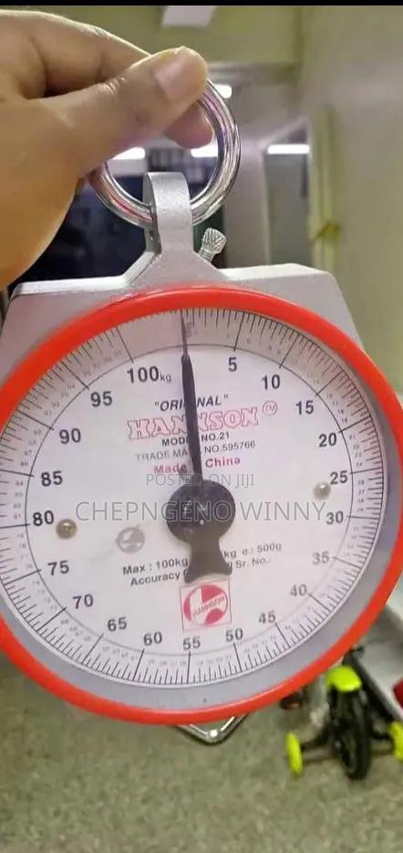 Hanson Hanging Weighing Scale 200kg