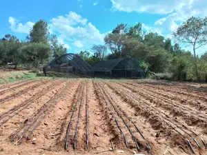 1/4 Acre Drip Irrigation Kit