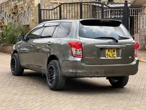 Toyota Corolla Fielder 2010 Gray