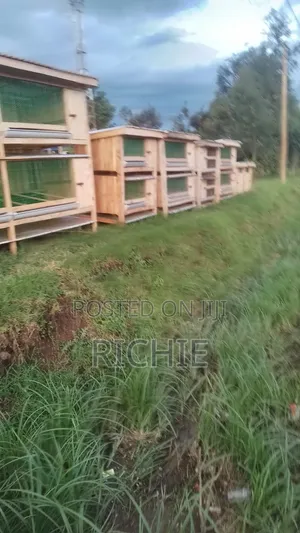 Chicken House