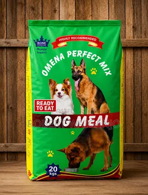 1+ Year Male Mixed Breed German Shepherd