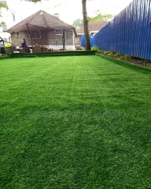 Grass Carpet Fit for Your Outdoor Decor