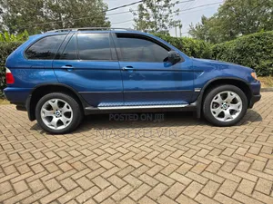 BMW X5 2003 Blue