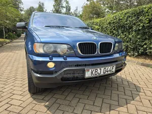 BMW X5 2003 Blue