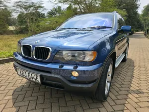 BMW X5 2003 Blue