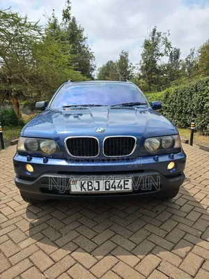 BMW X5 2003 Blue