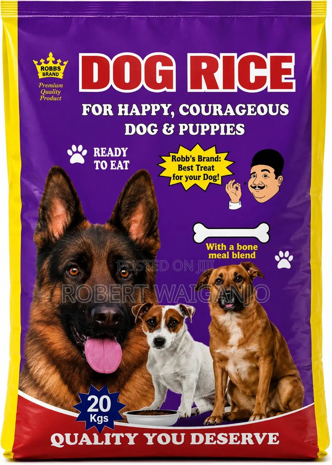 1+ Year Male Mixed Breed German Shepherd