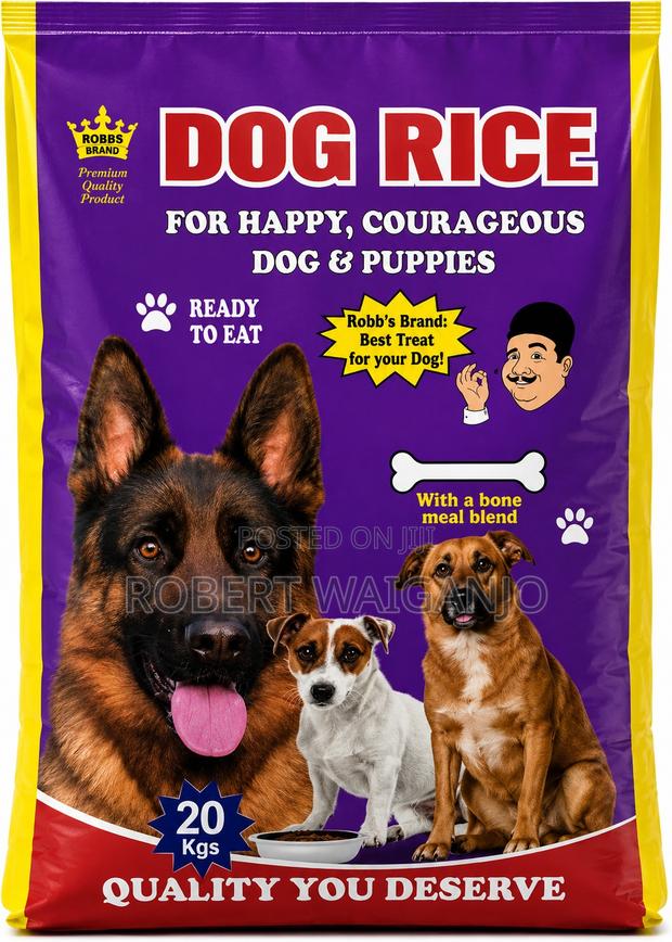 1+ Year Male Mixed Breed German Shepherd