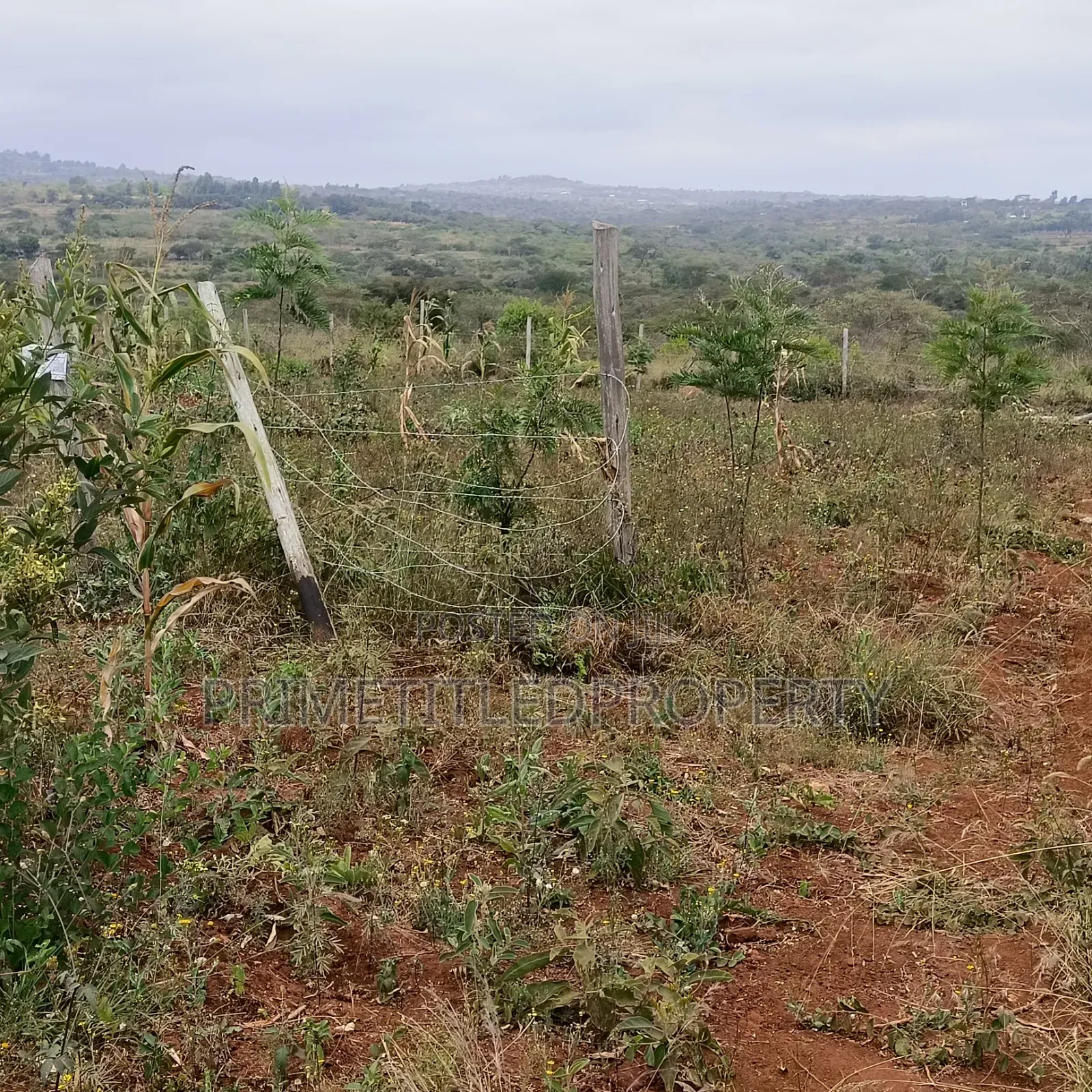 10 Acres at Yaitha/ Kwa Kavoo on Sell