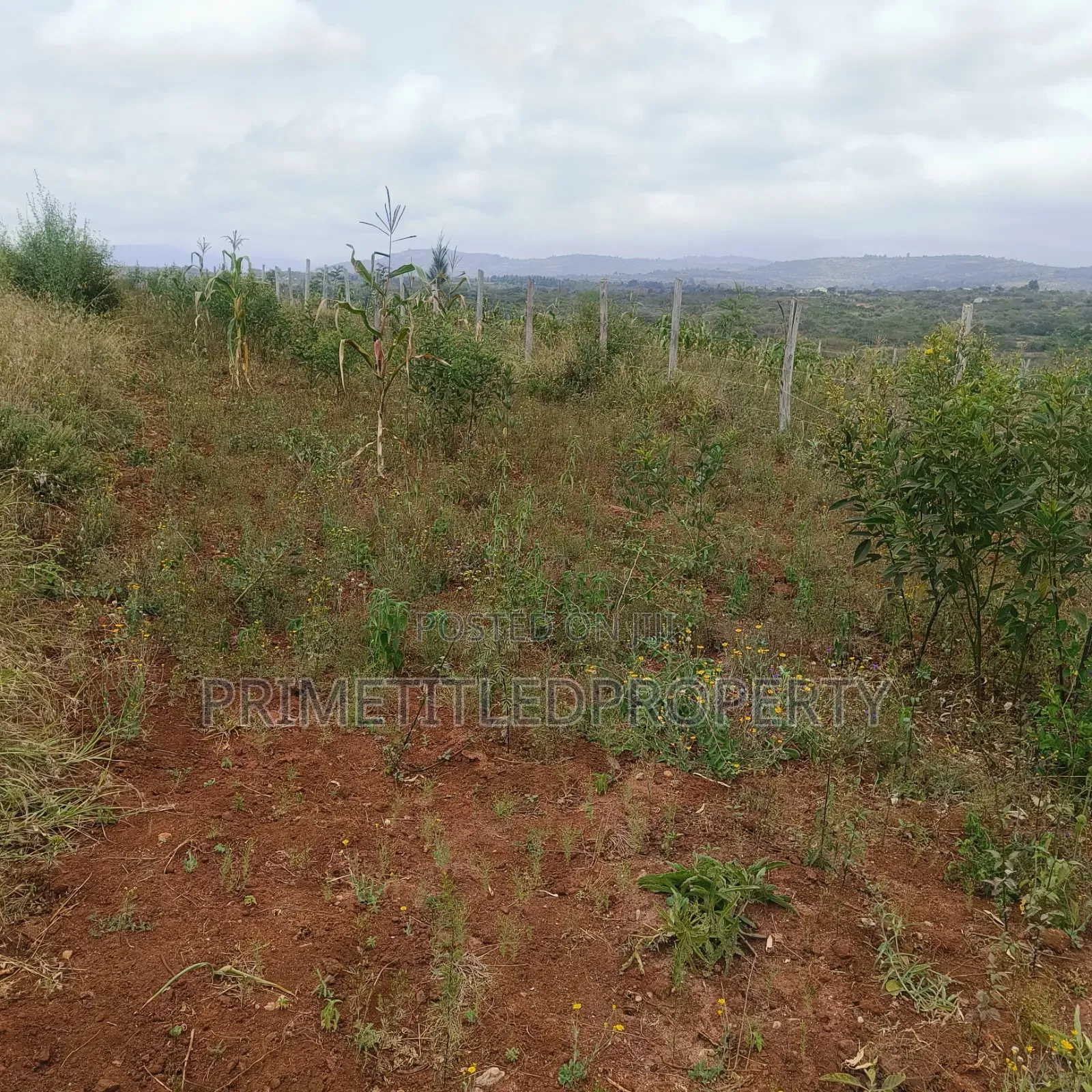 10 Acres at Yaitha/ Kwa Kavoo on Sell