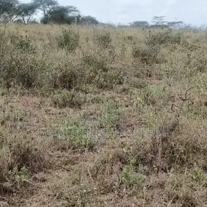 10 Acres at Yaitha/ Kwa Kavoo on Sell