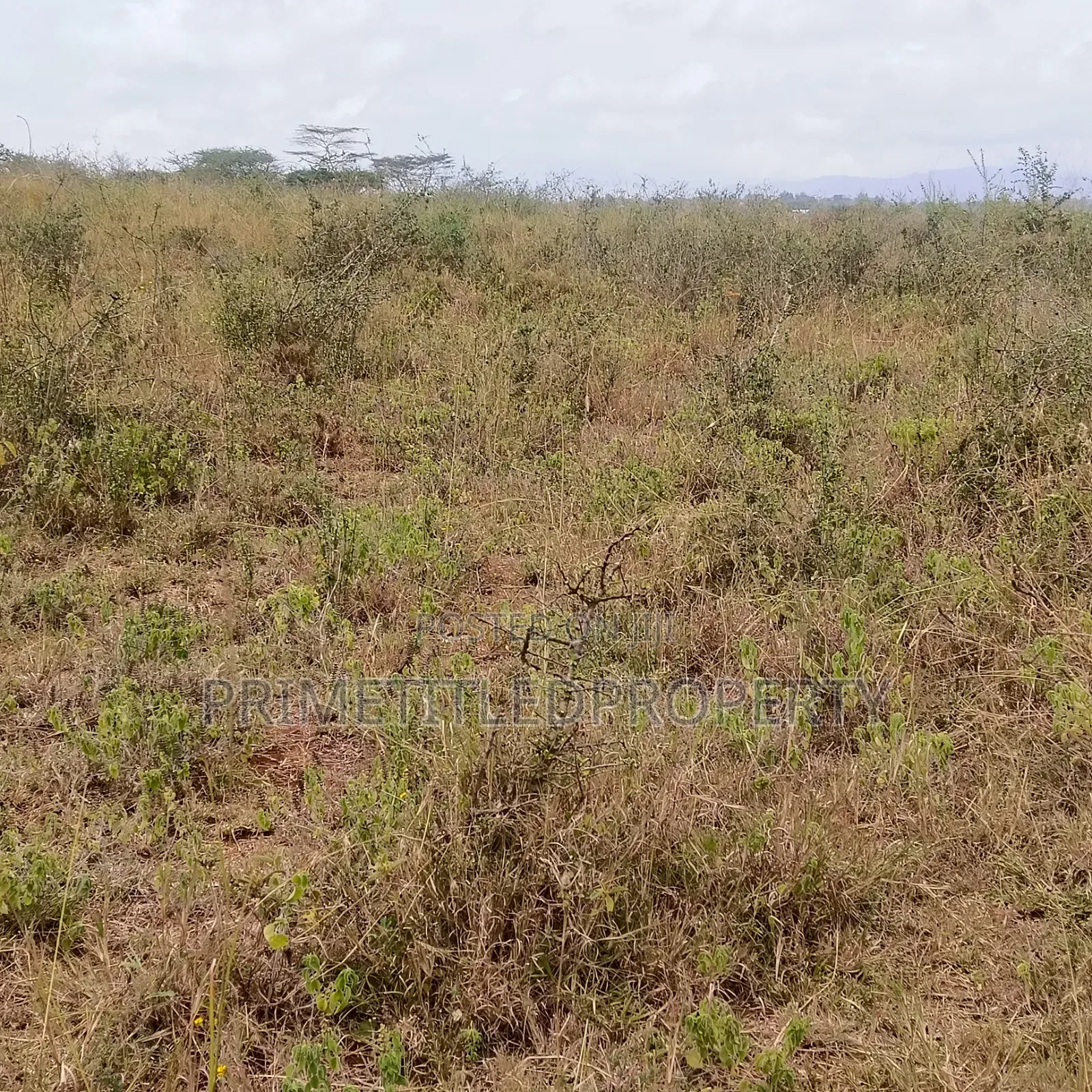 10 Acres at Yaitha/ Kwa Kavoo on Sell