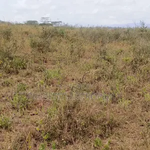 10 Acres at Yaitha/ Kwa Kavoo on Sell