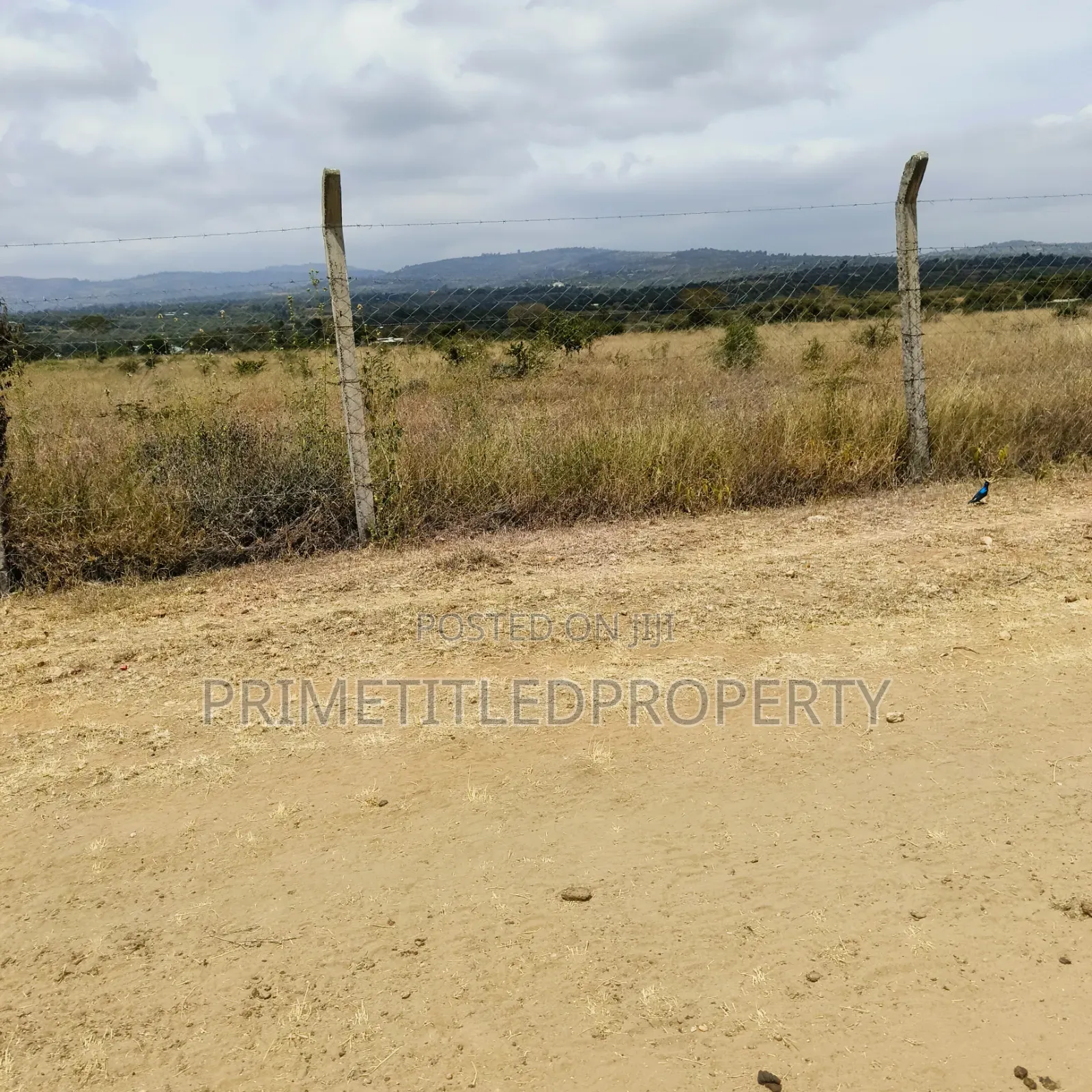 10 Acres at Yaitha/ Kwa Kavoo on Sell