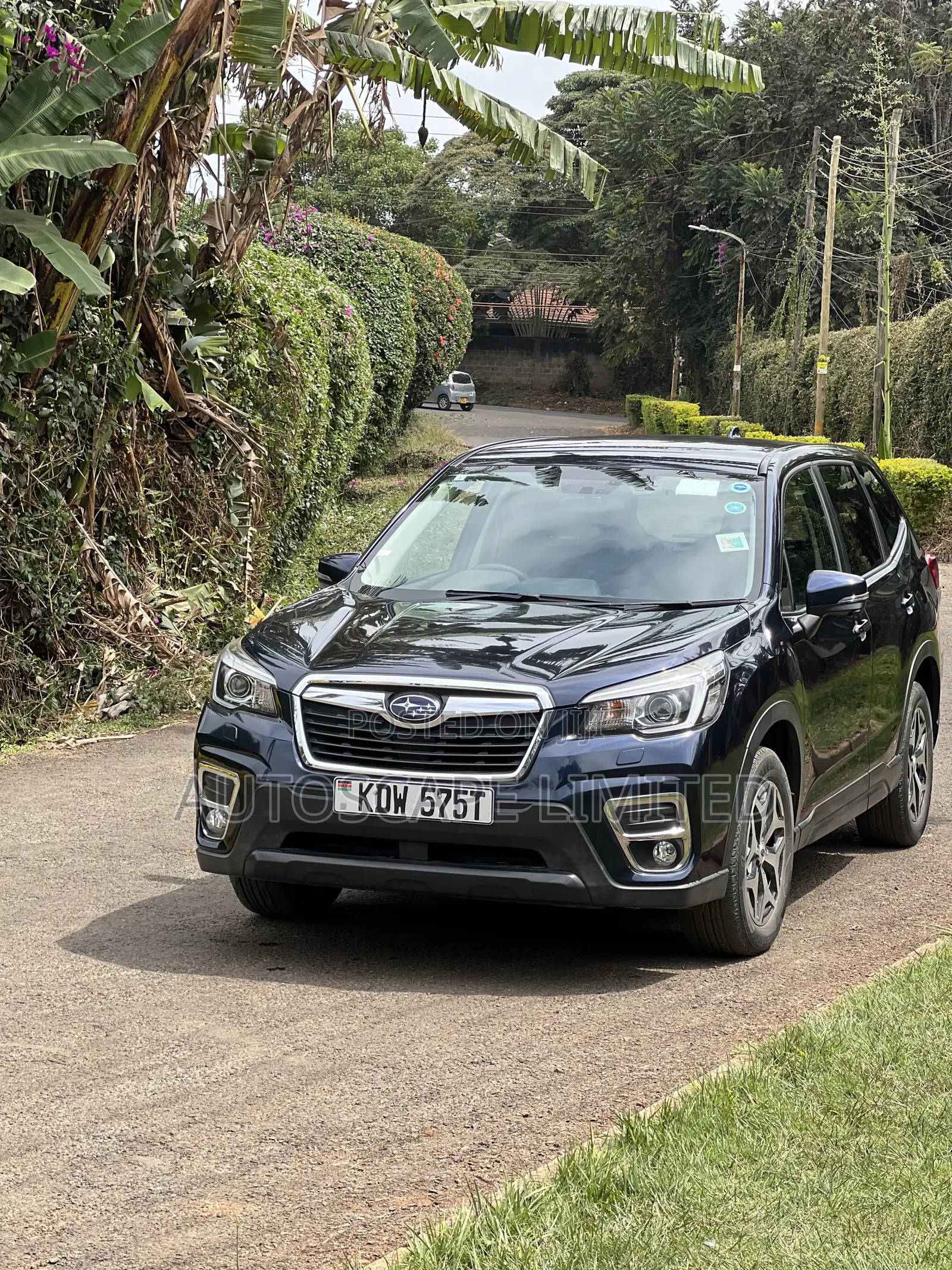 Subaru Forester 2019 White