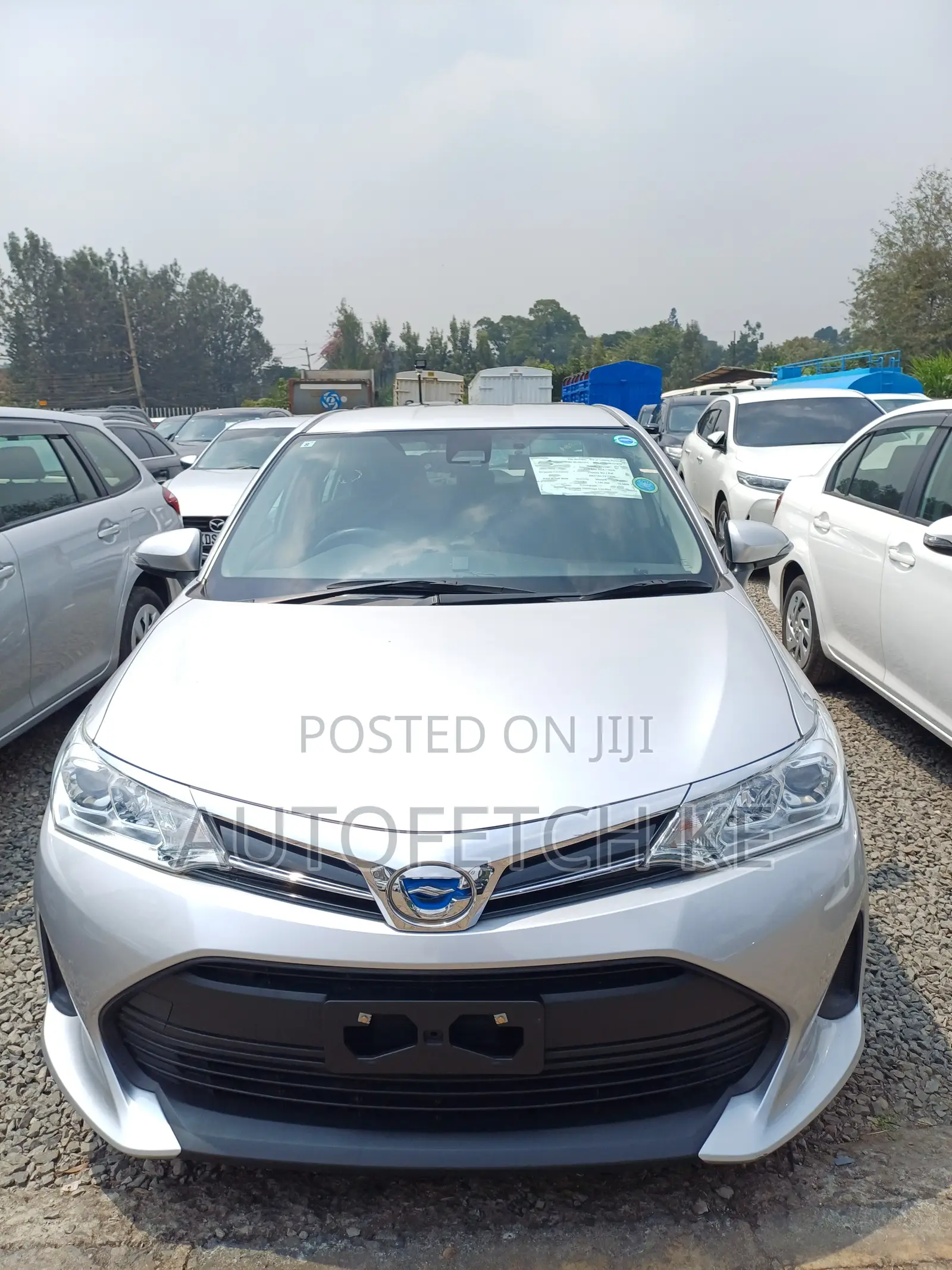 Toyota Axio 2019 Gray