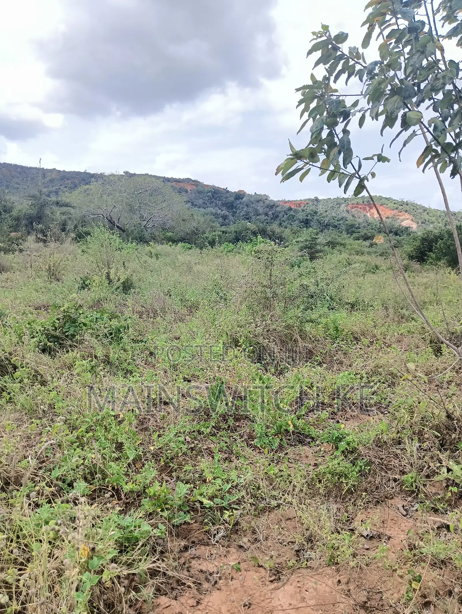 10 Acres With Adjudication Numbers Waiting for Tittle Deed for Sale