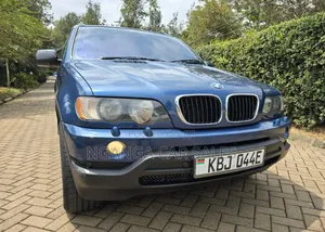 BMW X5 2003 Blue