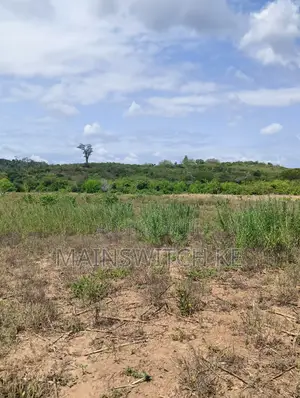 100 Acres With Numbers Waiting for Title Deed on Sale Now