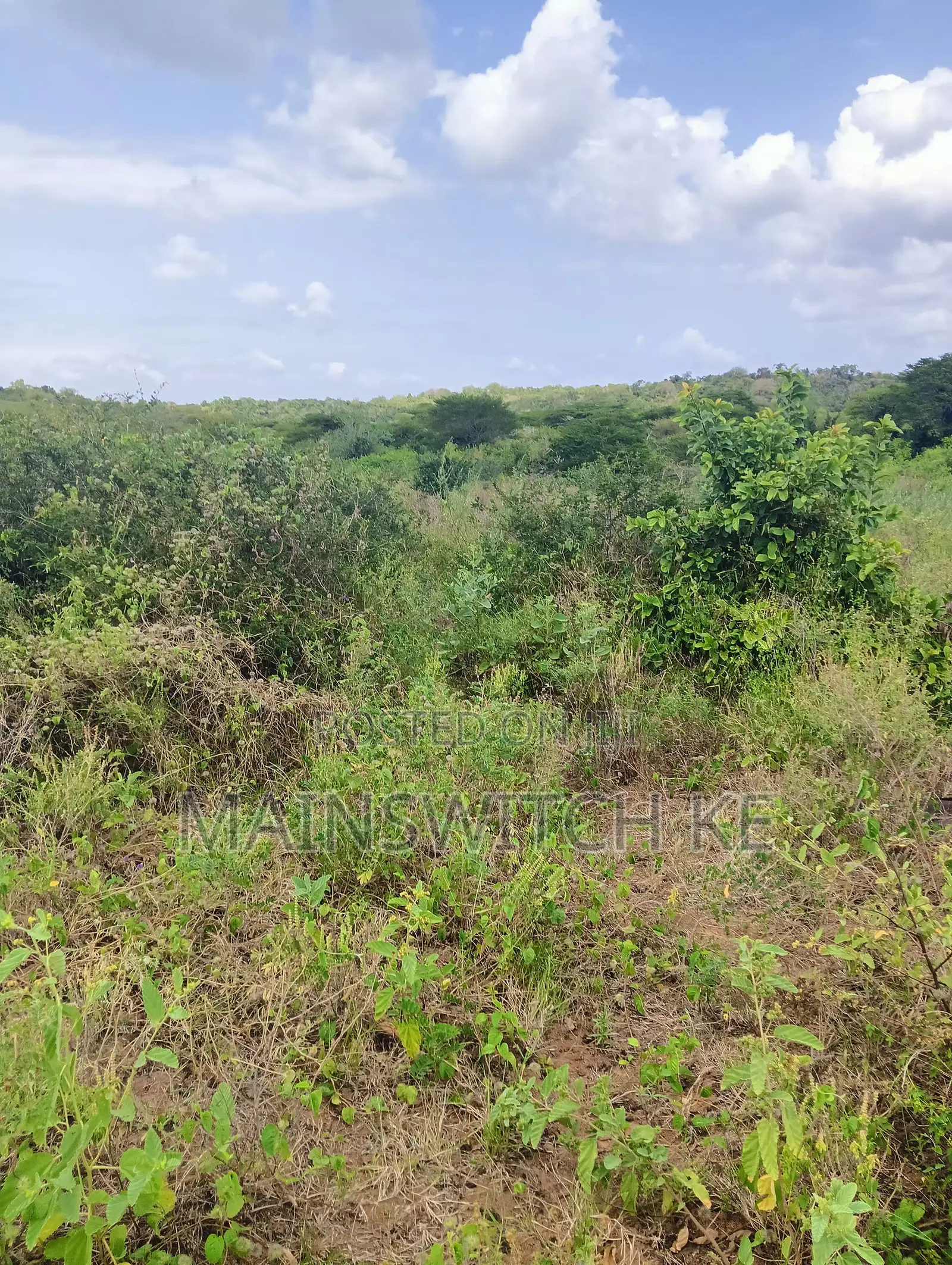 100 Acres With Numbers Waiting for Title Deed on Sale Now
