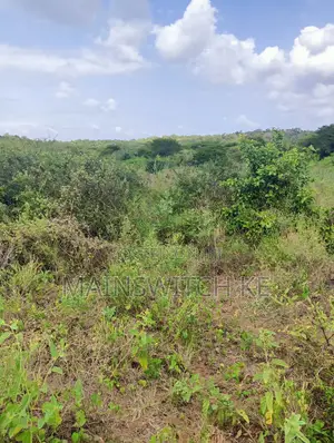 100 Acres With Numbers Waiting for Title Deed on Sale Now