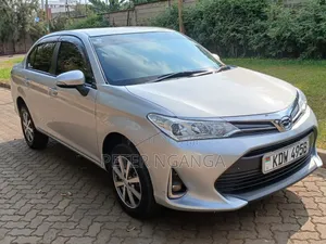 Toyota Axio 2018 Silver